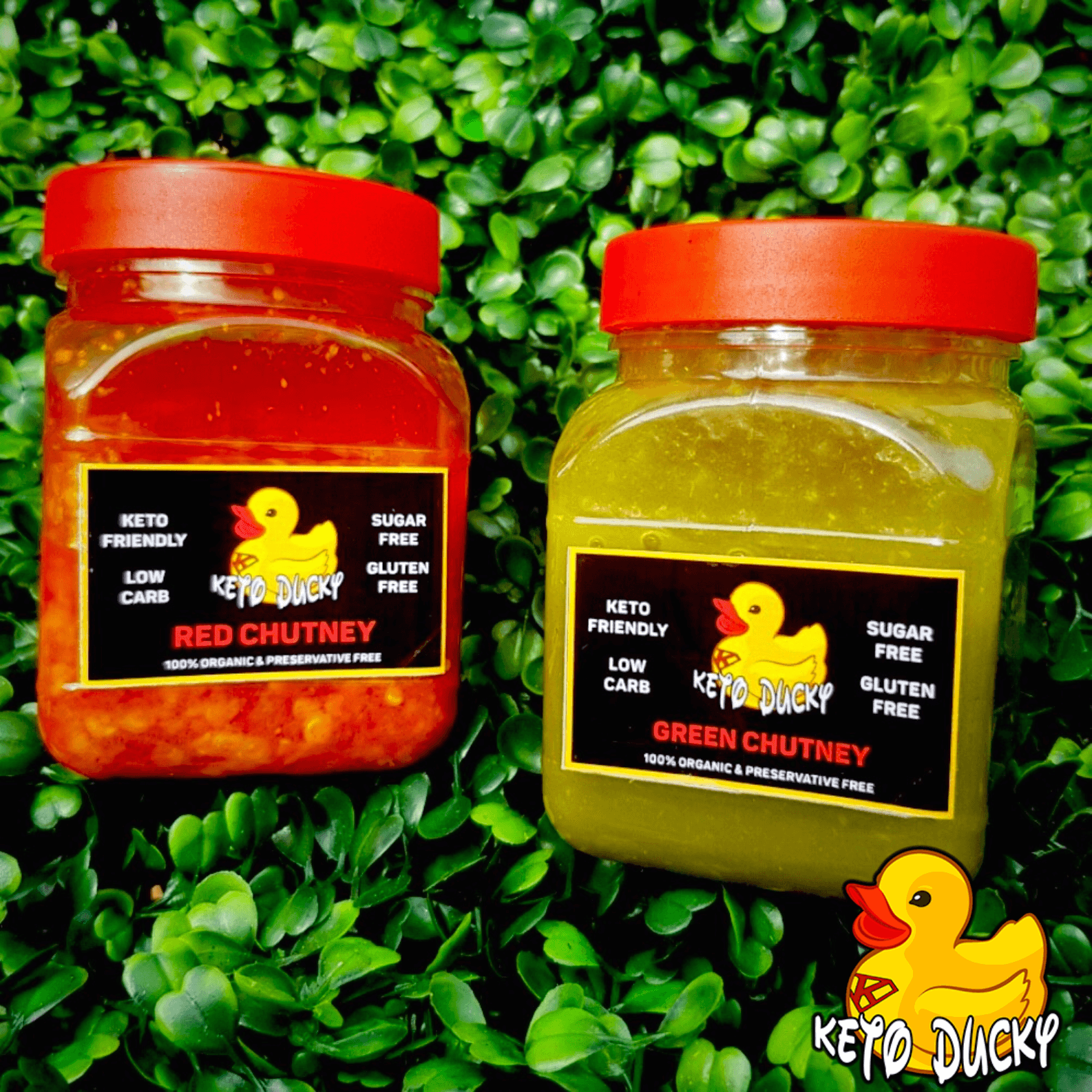 Red Chutney Sauce 